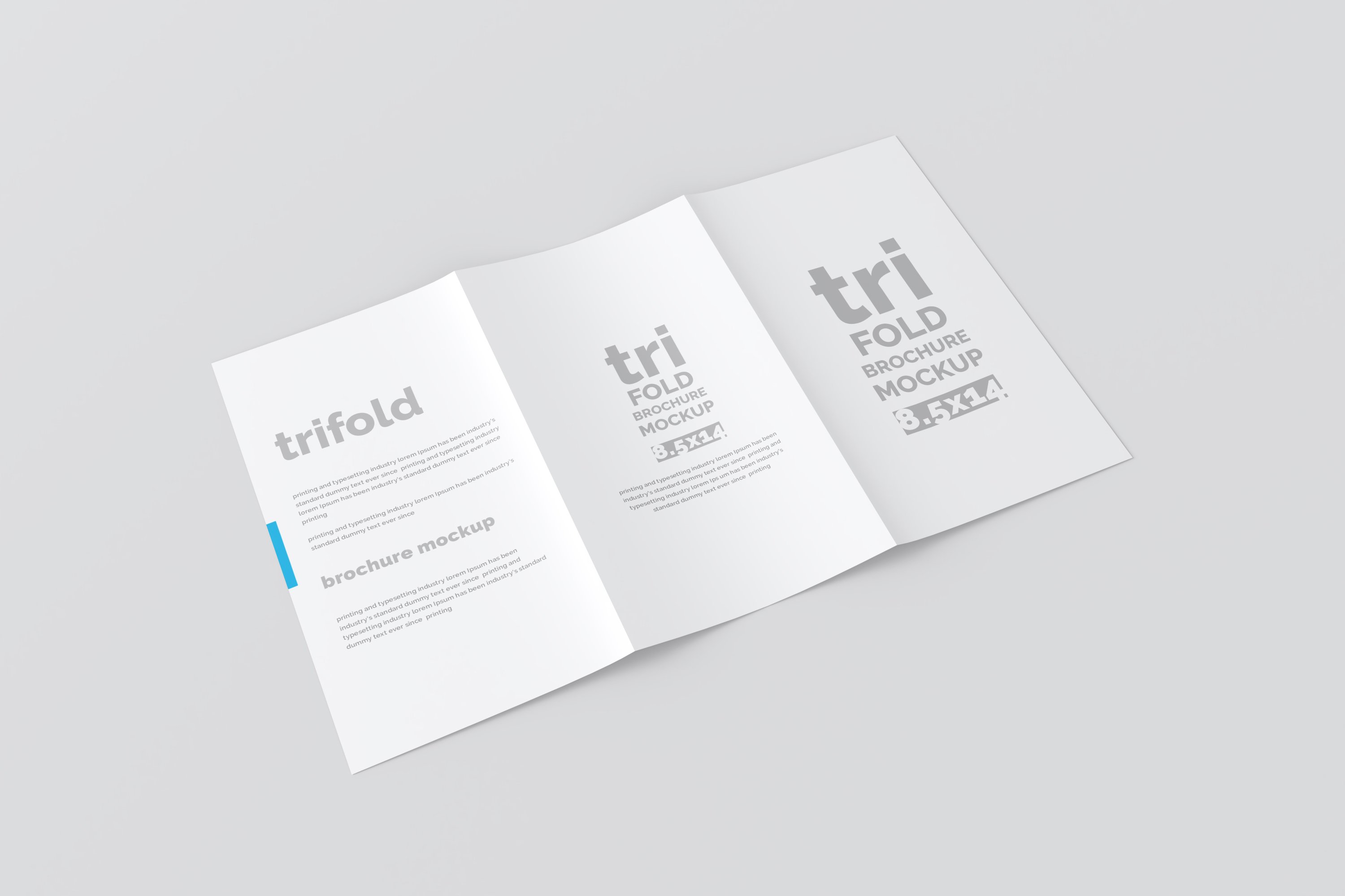 05 14x8.5 trifold brochure mockup 317