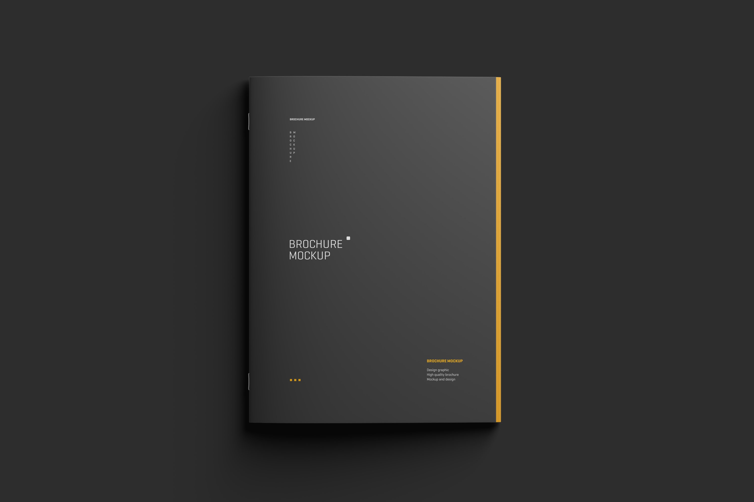 05 a4 magazine brochure mockup 495