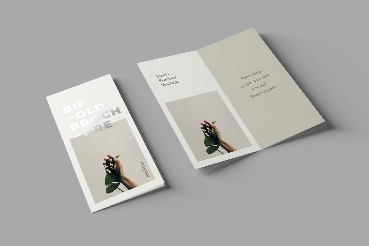 05 bifold dl brochure photoshop mockups 434