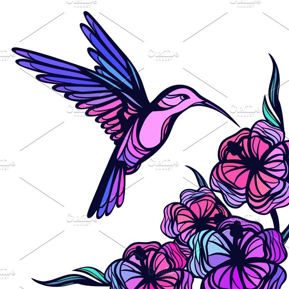 Flying tropical hummingbirds. cover image.