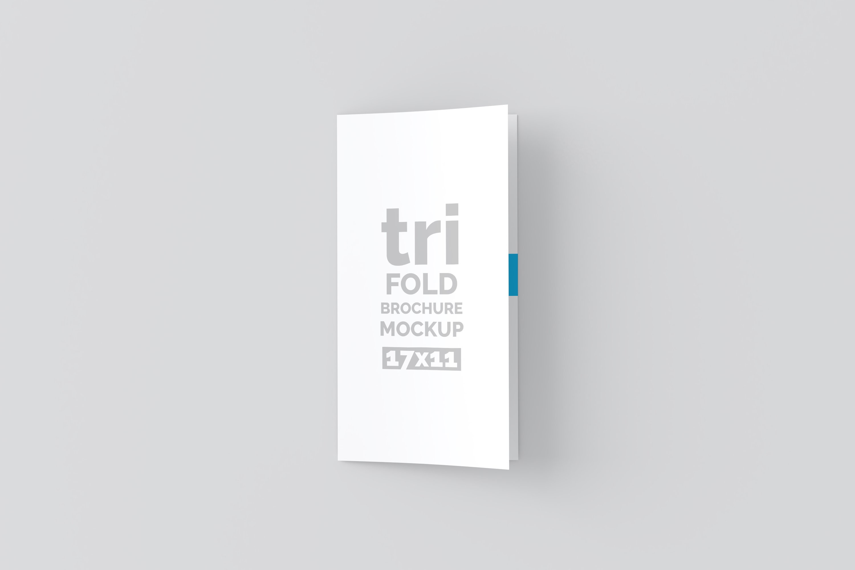 06 17x11 trifold brochure mockup 820