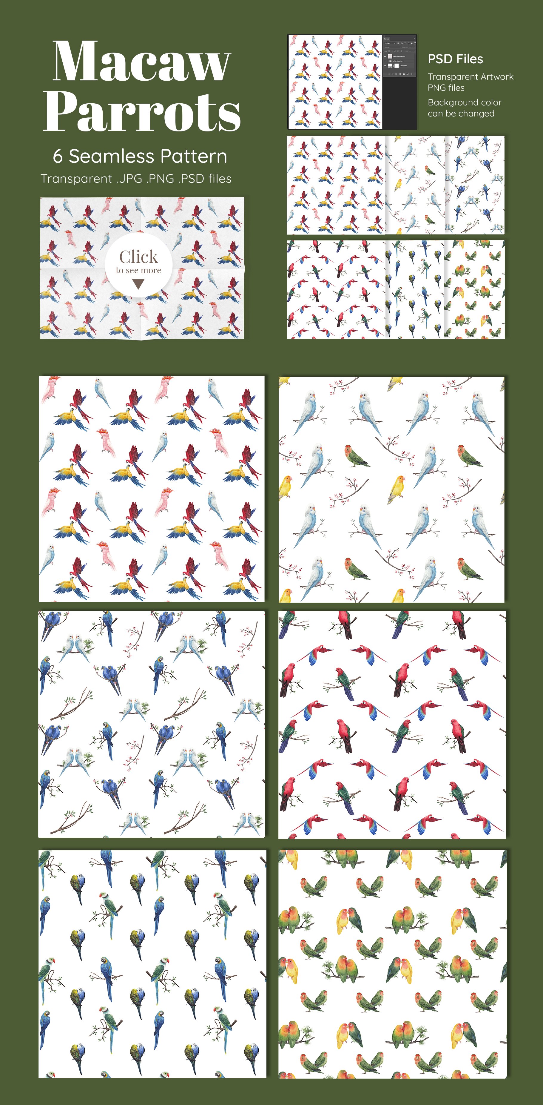 06 macaw parrot presentation pattern 284