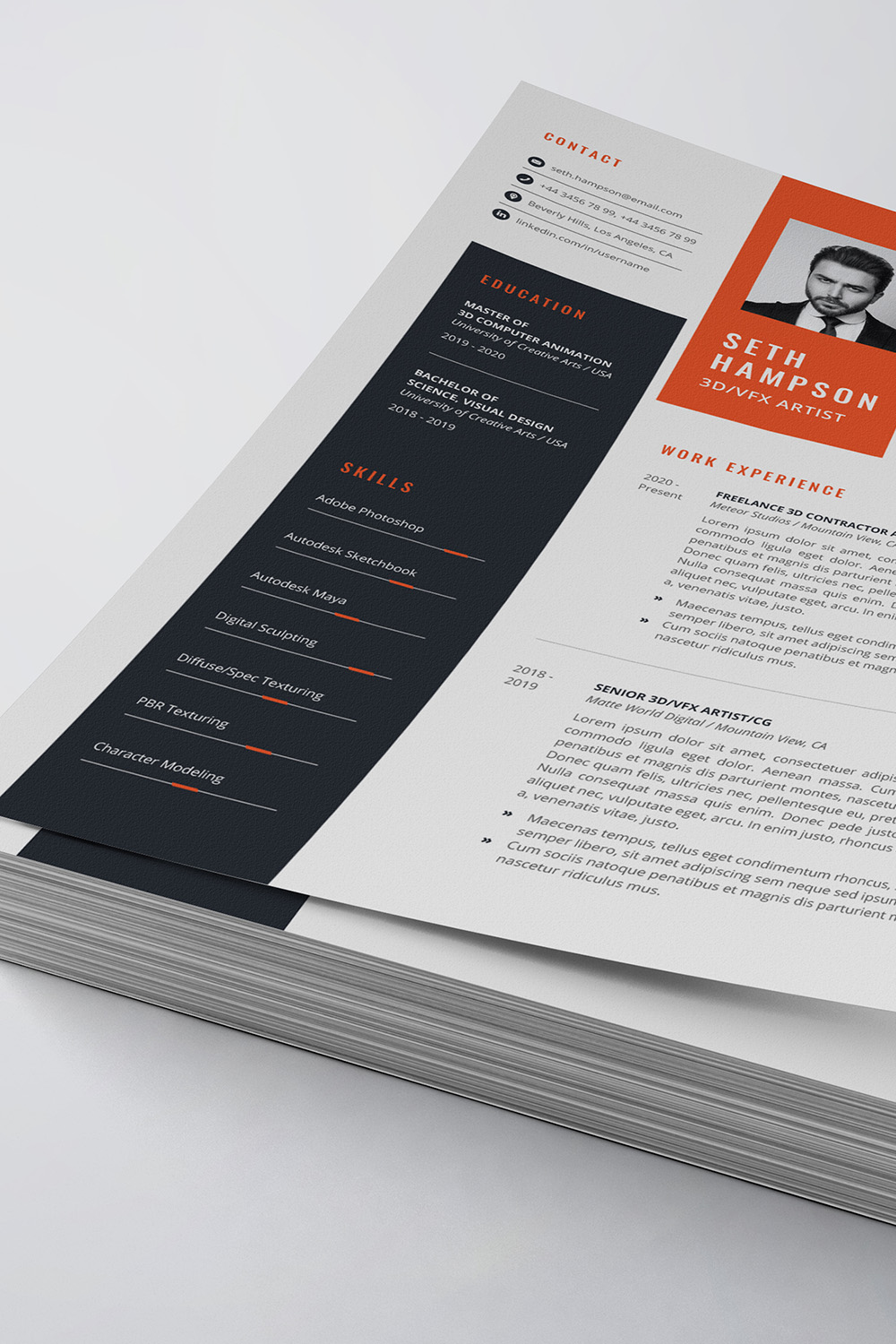 Professional Resume/CV Template pinterest preview image.