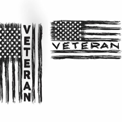 Veteran USA Flags cover image.