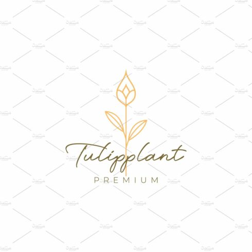 flower tulip plant aesthetic logo cover image.