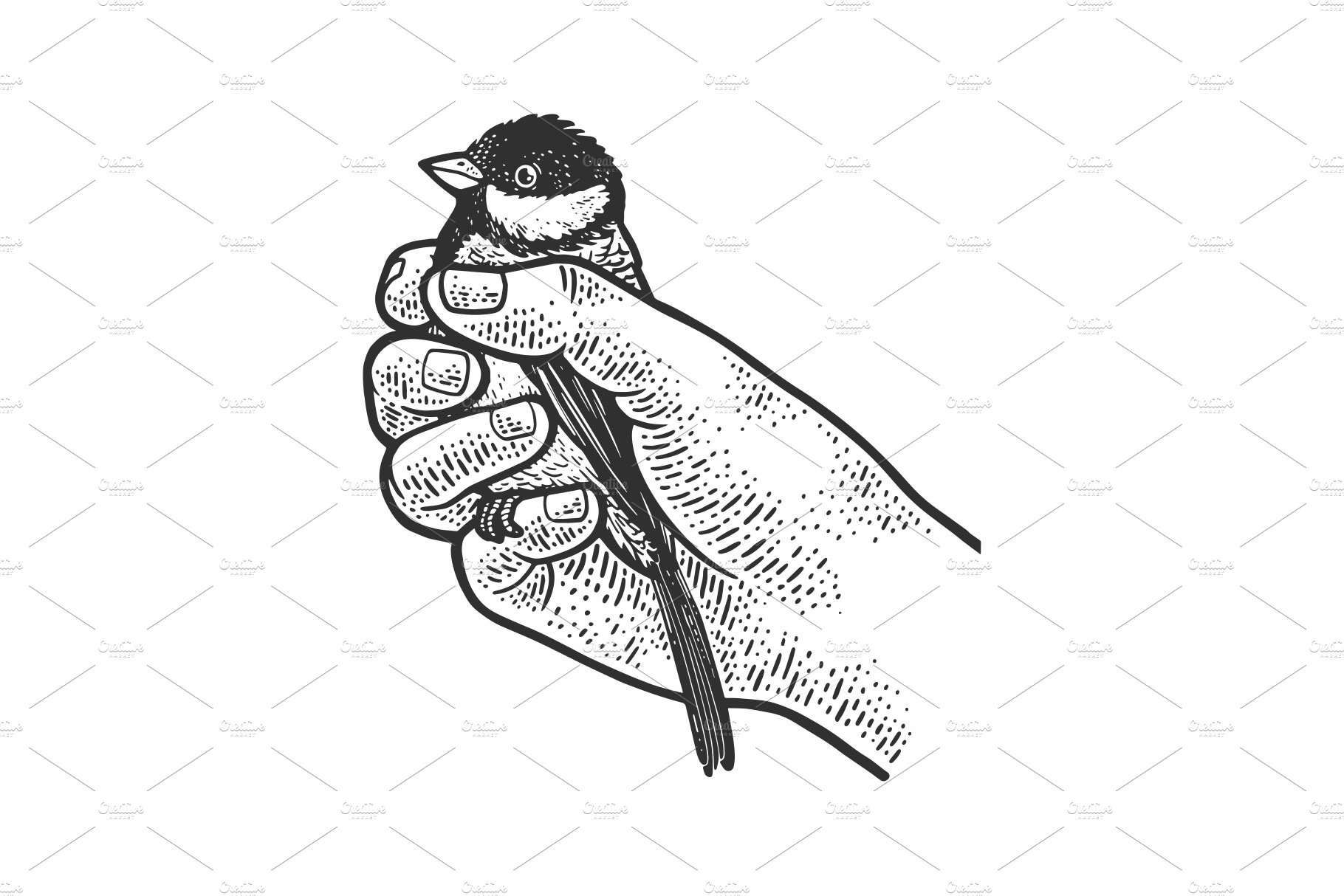 tit bird in hand sketch vector cover image.