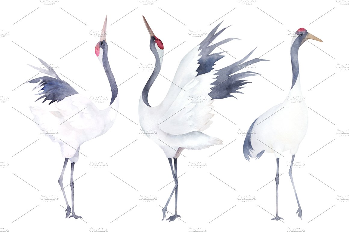 Watercolor Cranes cover image.