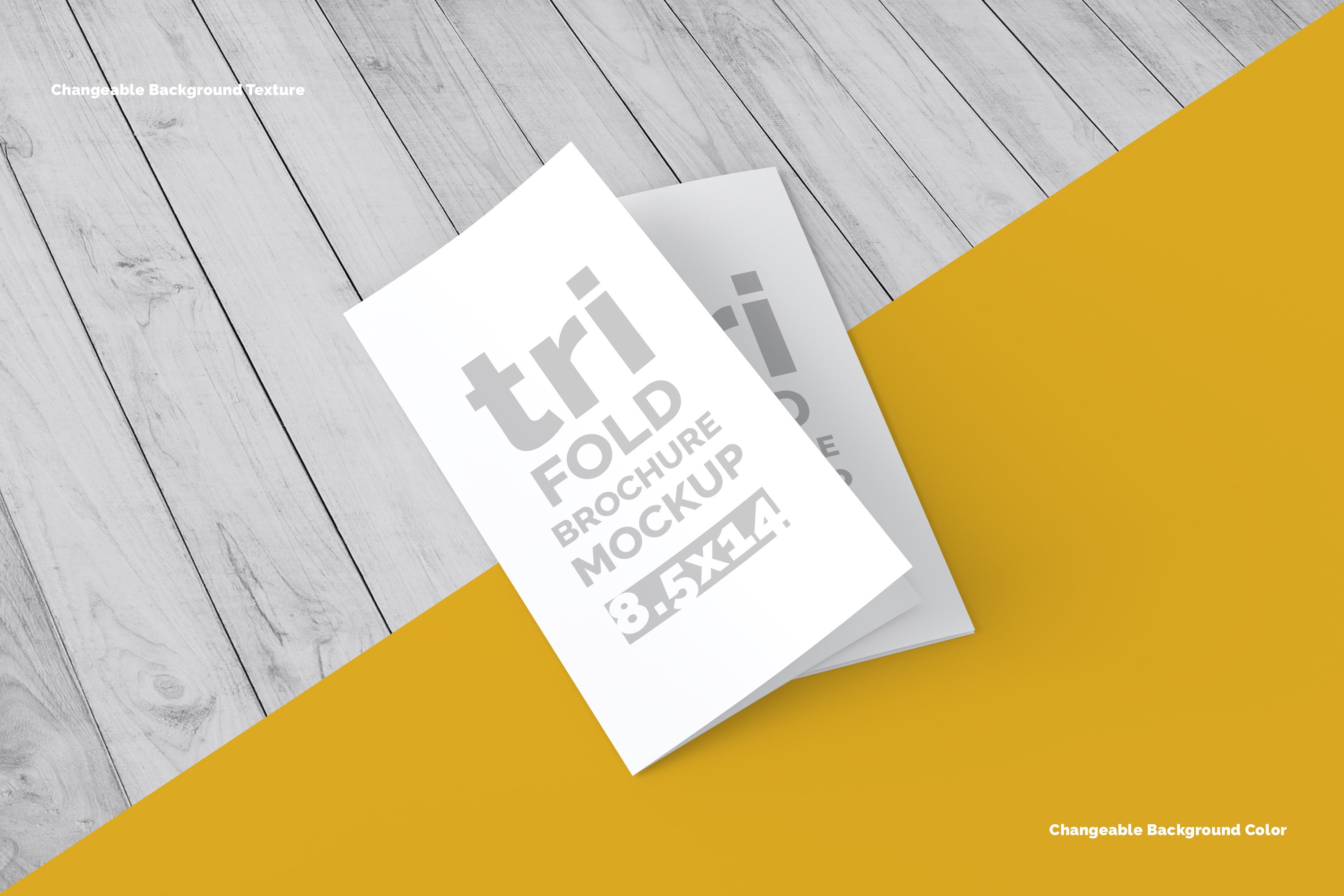 08 17x11 trifold brochure mockup 835