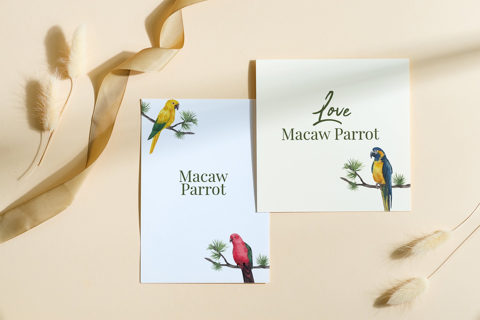 08 macaw parrot presentation mockup 02 676