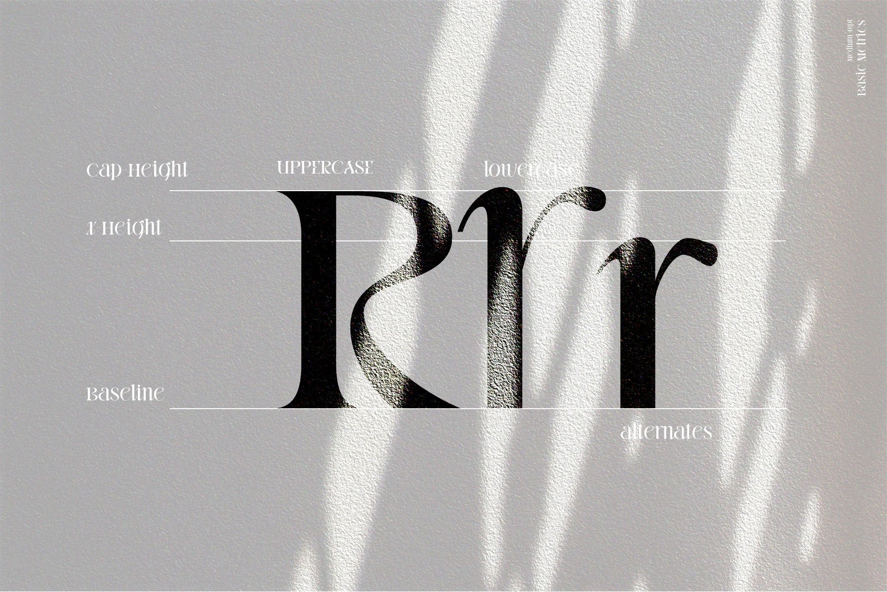 GIBEon Display Serif Family preview image.