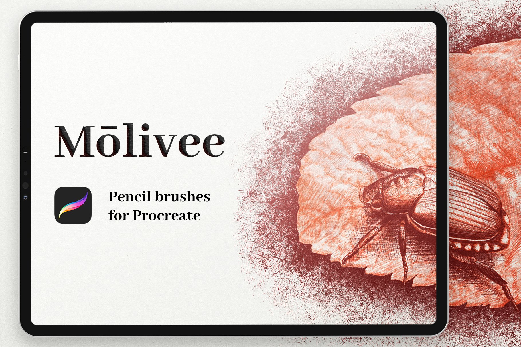 Molivee Pencil Brushes for Procreate cover image.