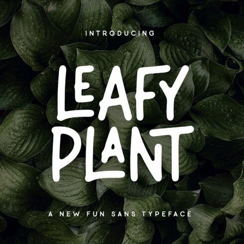 Leafy Plant Fun Typeface cover image.