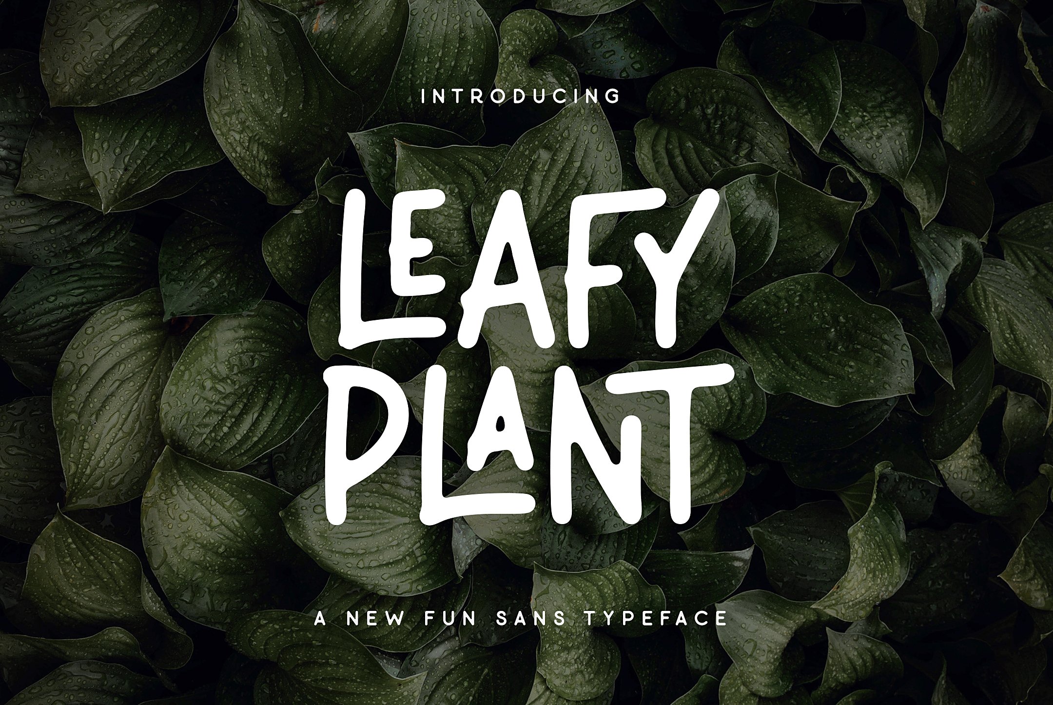 Leafy Plant Fun Typeface cover image.