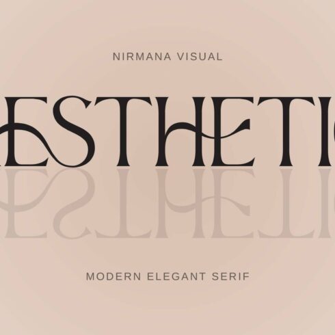 Aesthetic - Modern Display Serif cover image.