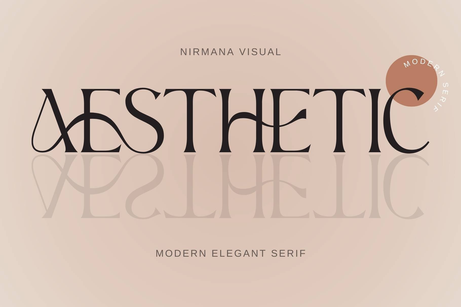 Aesthetic - Modern Display Serif cover image.