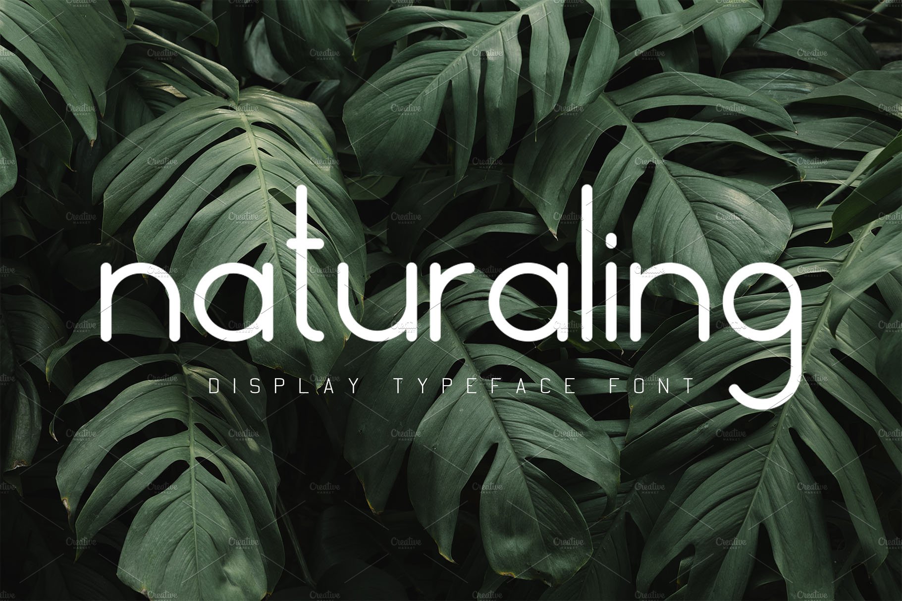 Naturaling Display Font cover image.