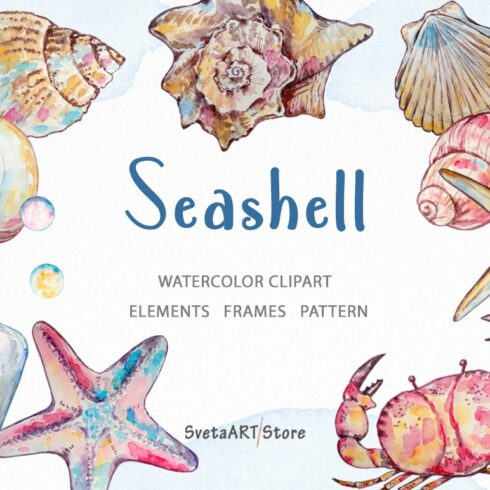 Watercolor Seashell Clipart cover image.