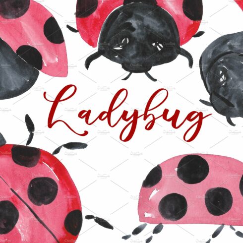 Lady Bug Watercolor Clipart cover image.