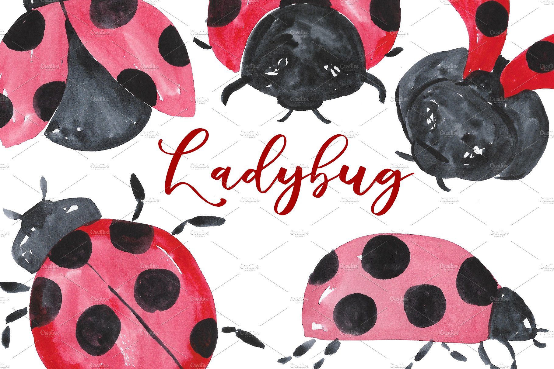 Lady Bug Watercolor Clipart cover image.
