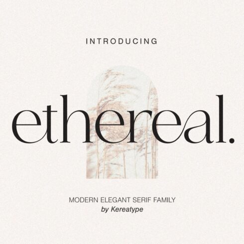 Ethereal - Elegant Serif Family cover image.