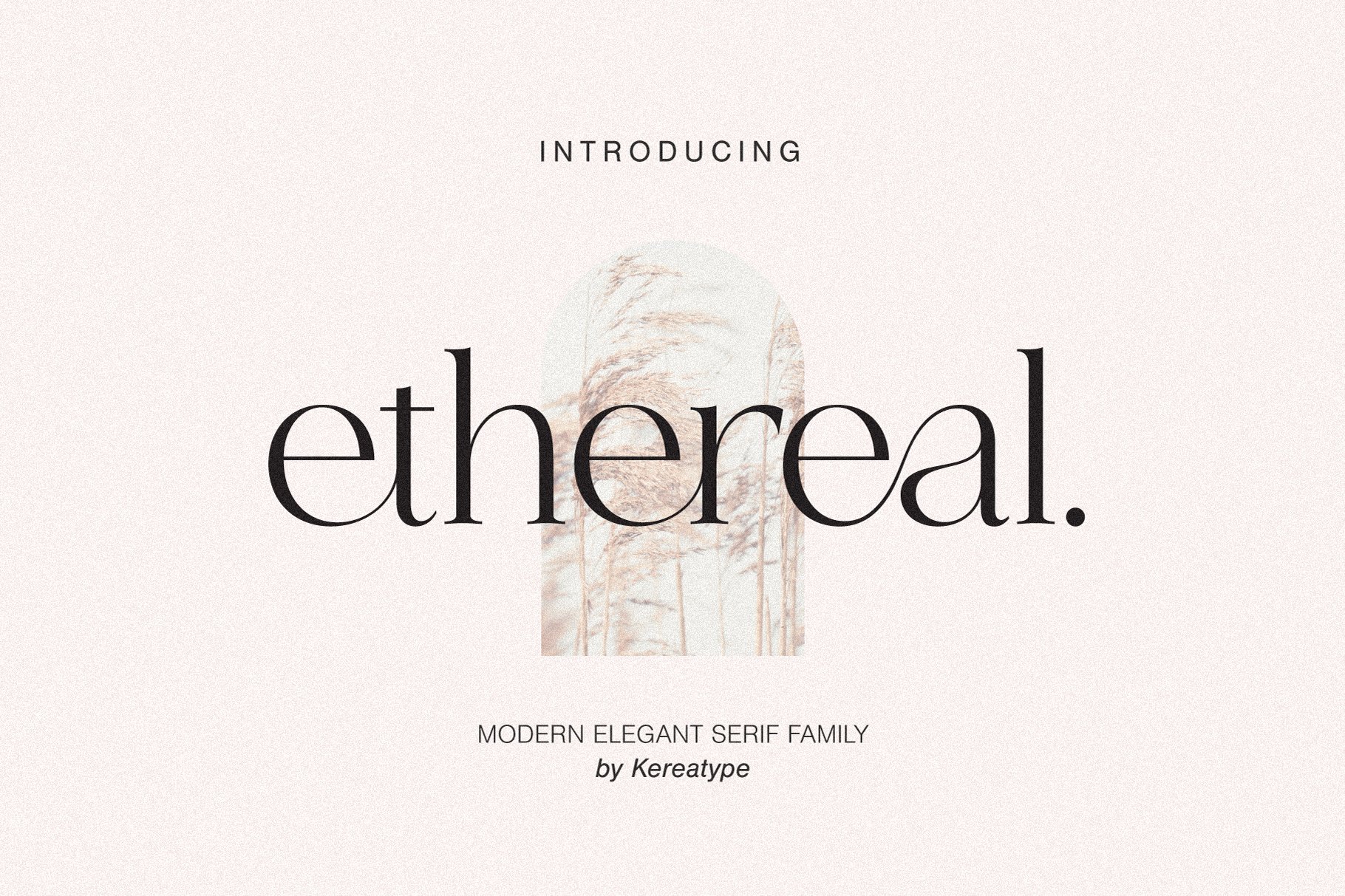 Ethereal - Elegant Serif Family cover image.