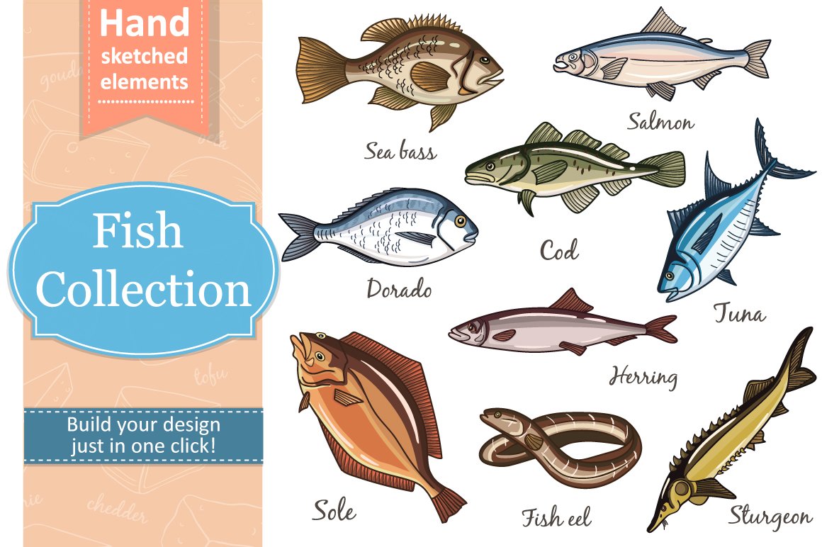Fish Collection and patterns cover image.