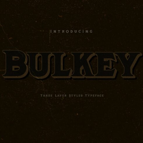 Bulkey cover image.