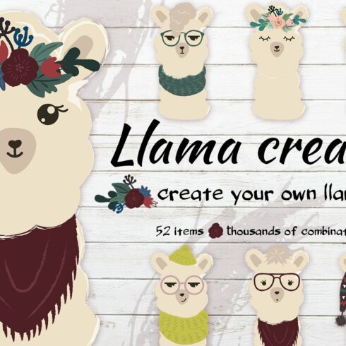 The cute llama creator cover image.