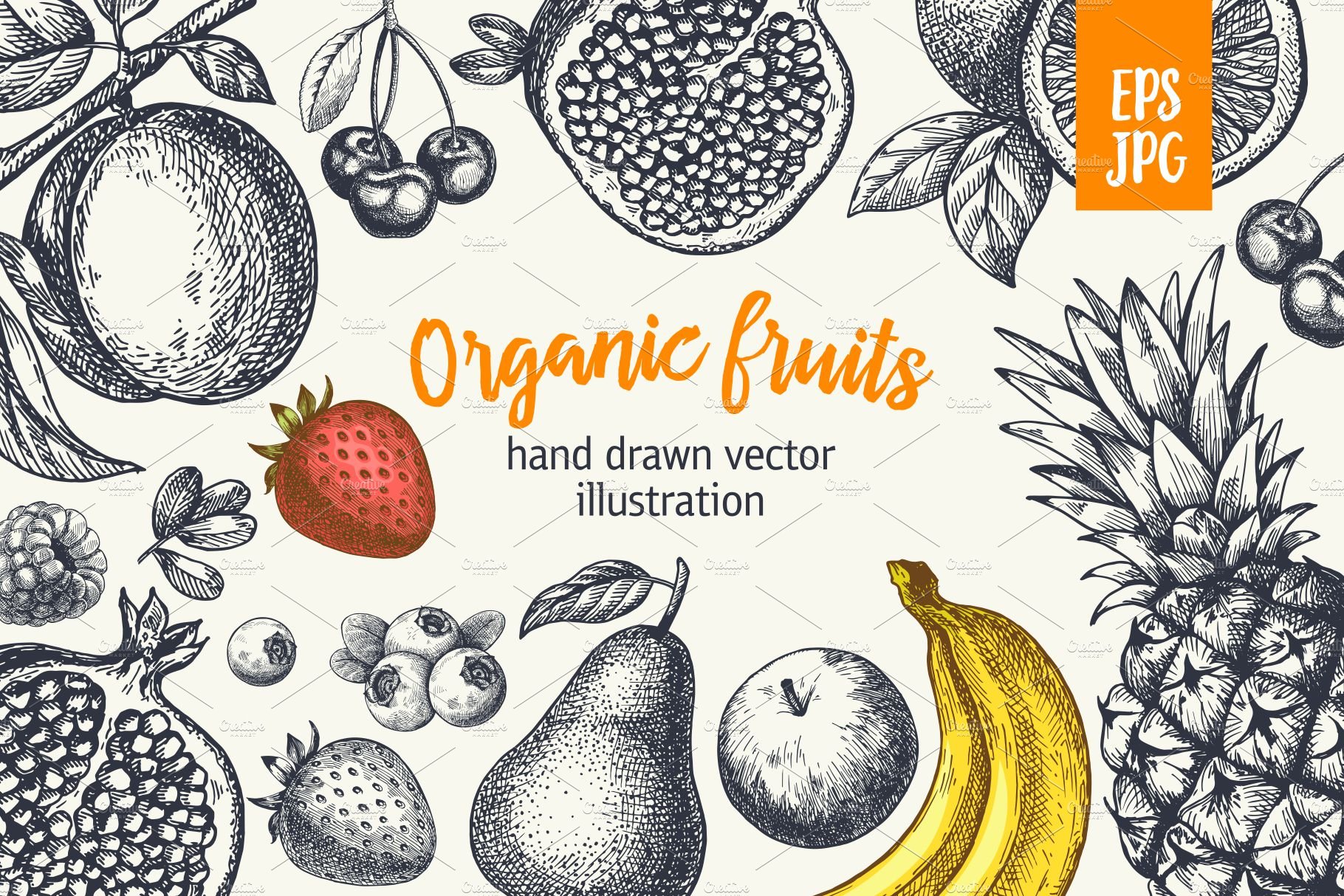 Fruits. Hand drawn collection. cover image.