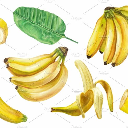 Watercolor banana set cover image.