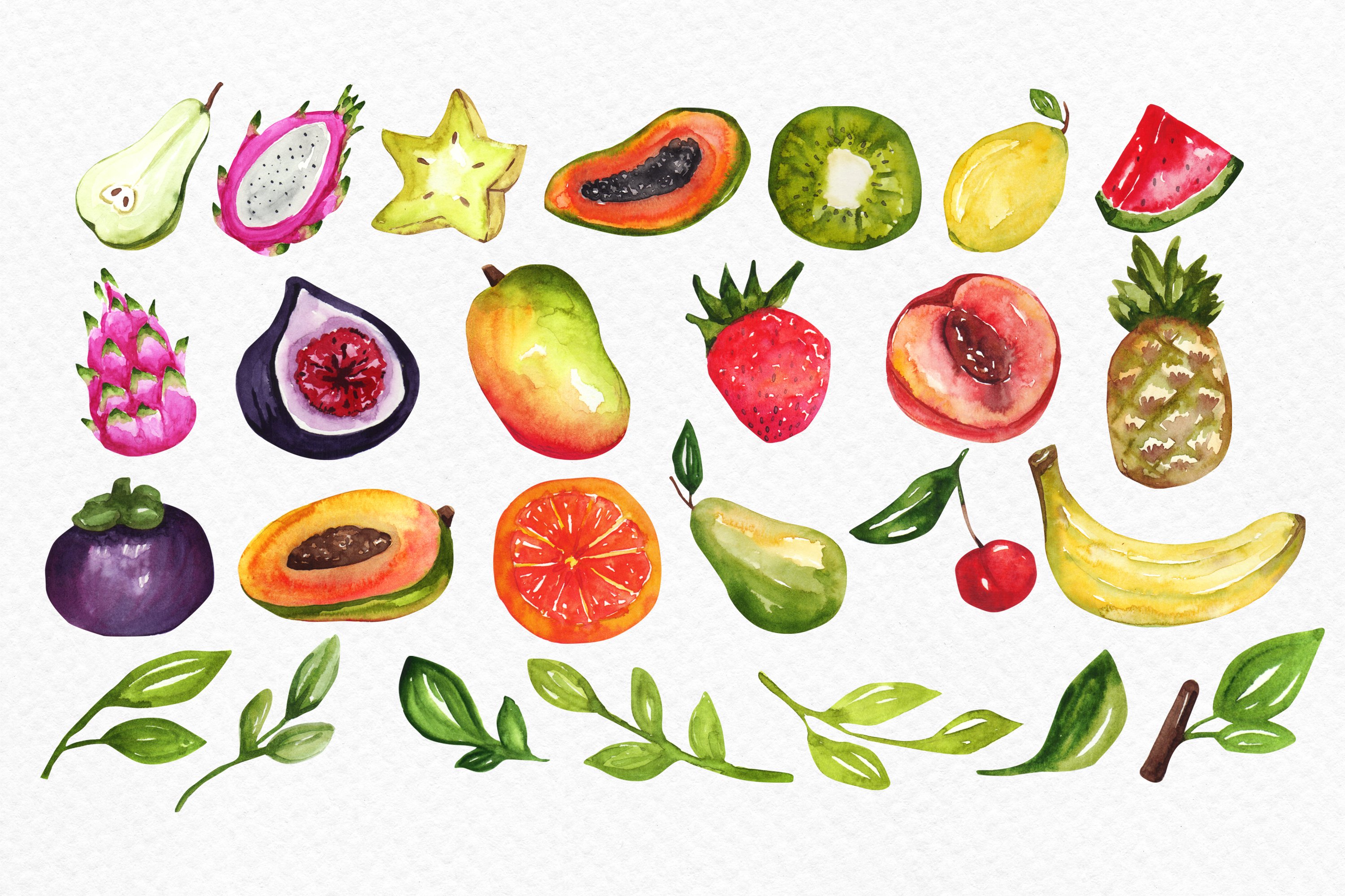 Watercolor summer  tropical fruits preview image.