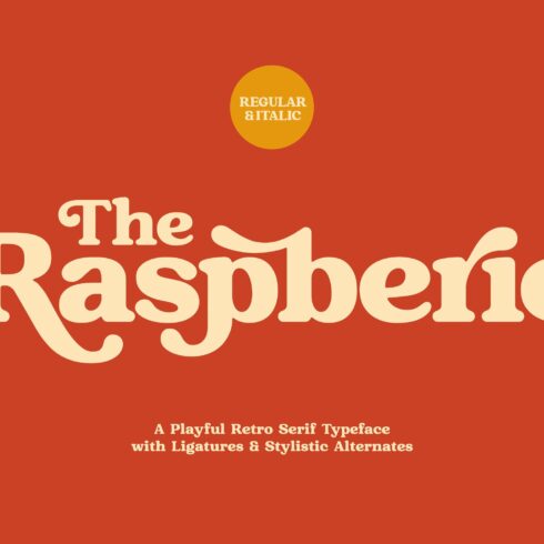 Raspberie - Retro Modern Font cover image.
