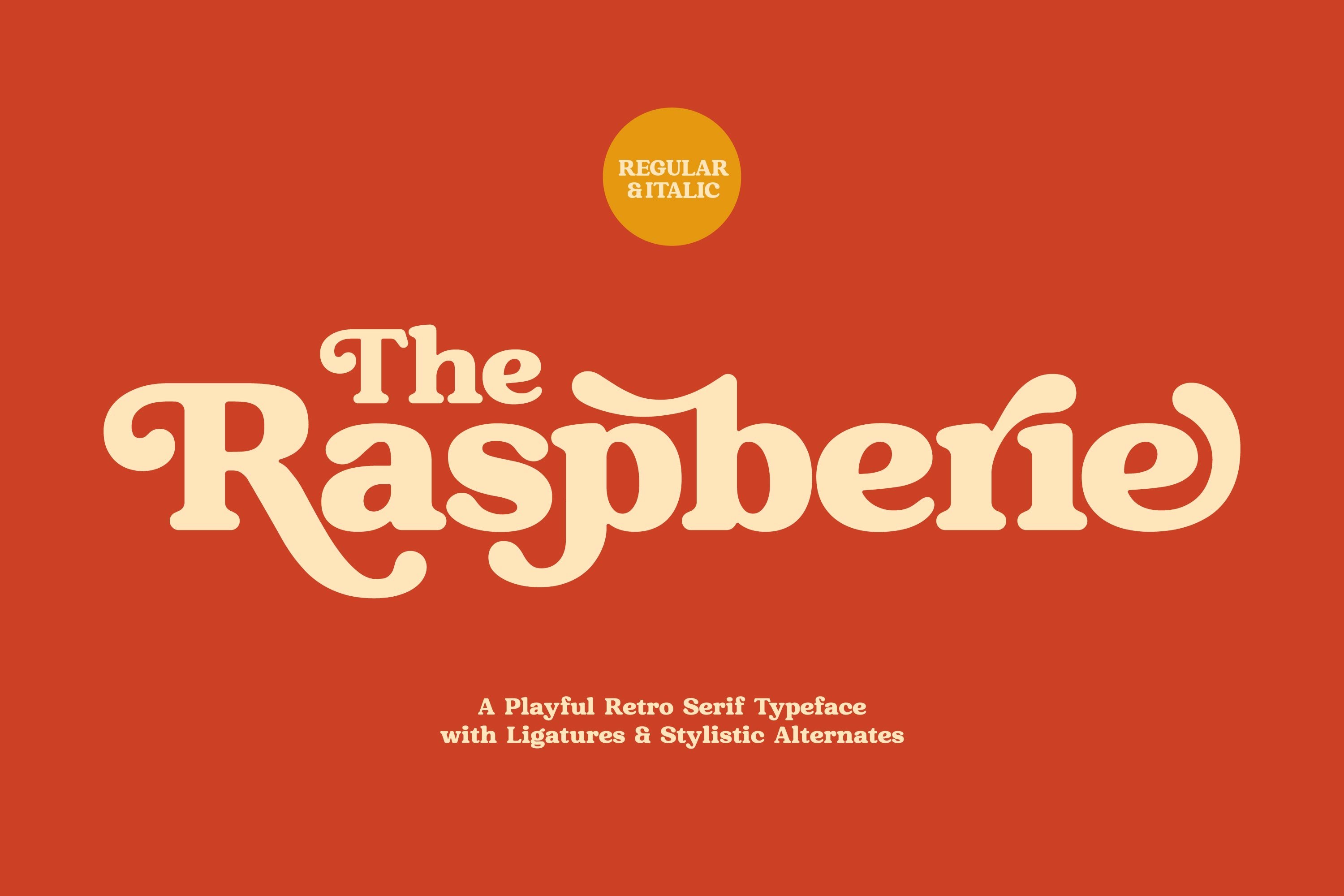 Raspberie - Retro Modern Font cover image.