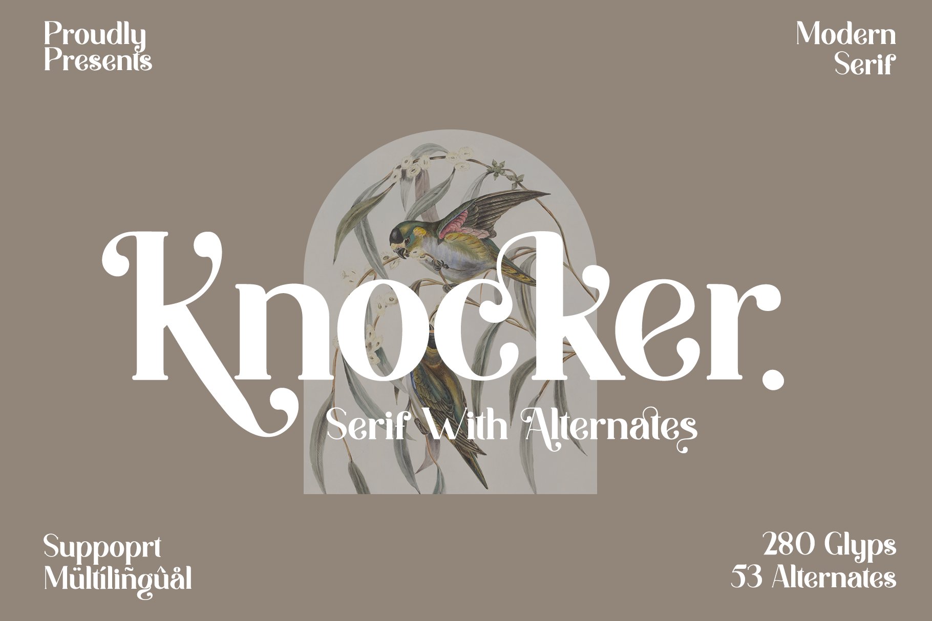 Knocker | Modern Serif with swash cover image.