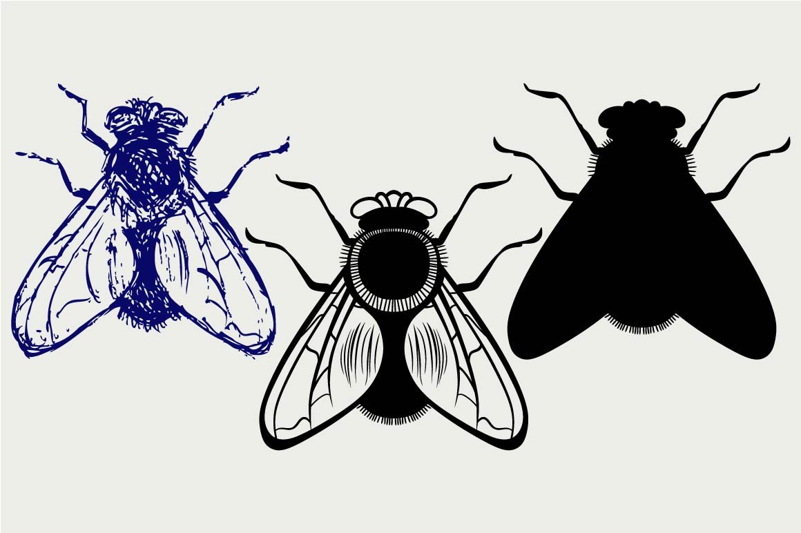 Black flies SVG cover image.