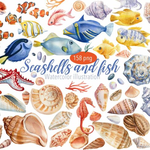 Seashells and fish, watercolor cover image.