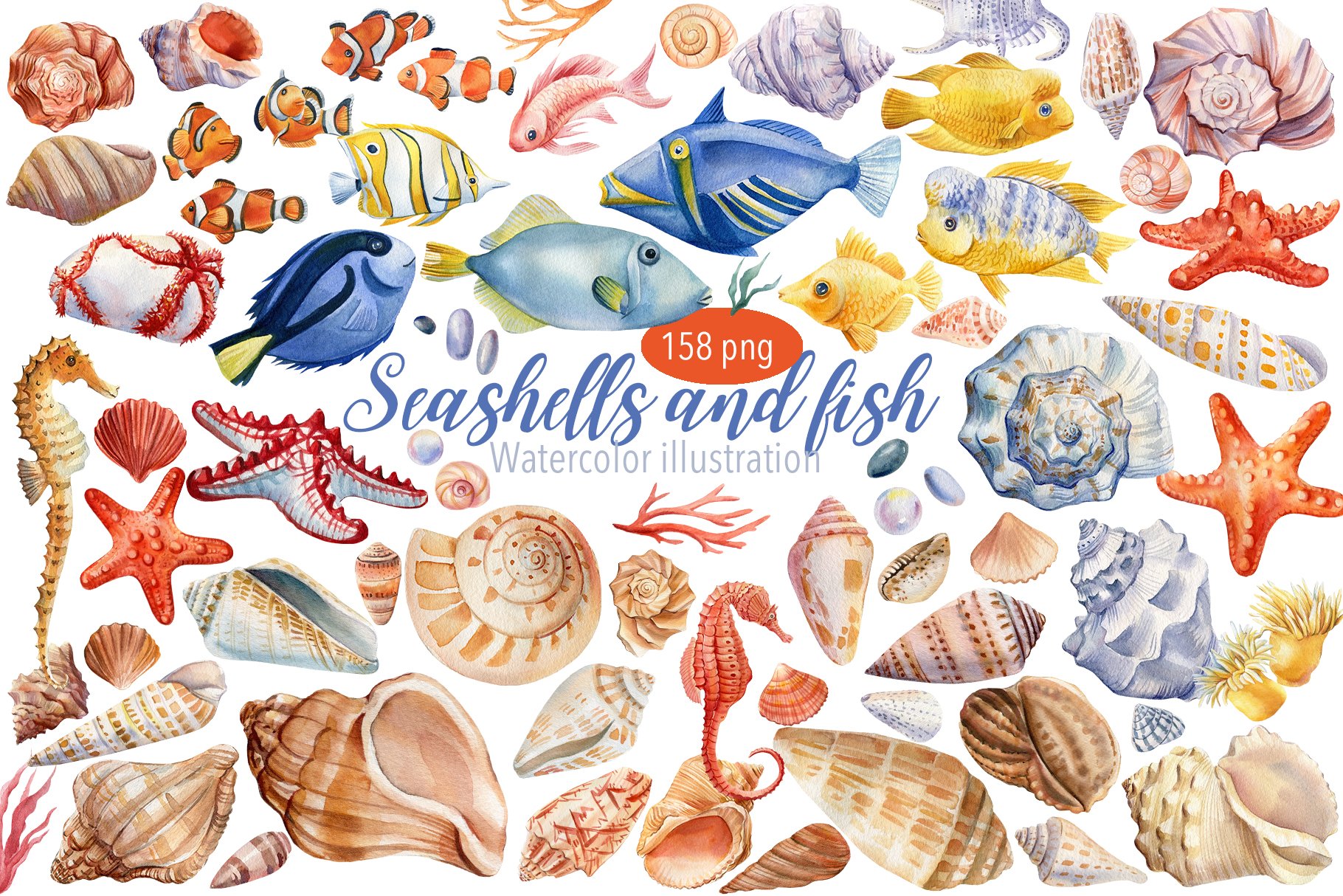 Seashells and fish, watercolor cover image.