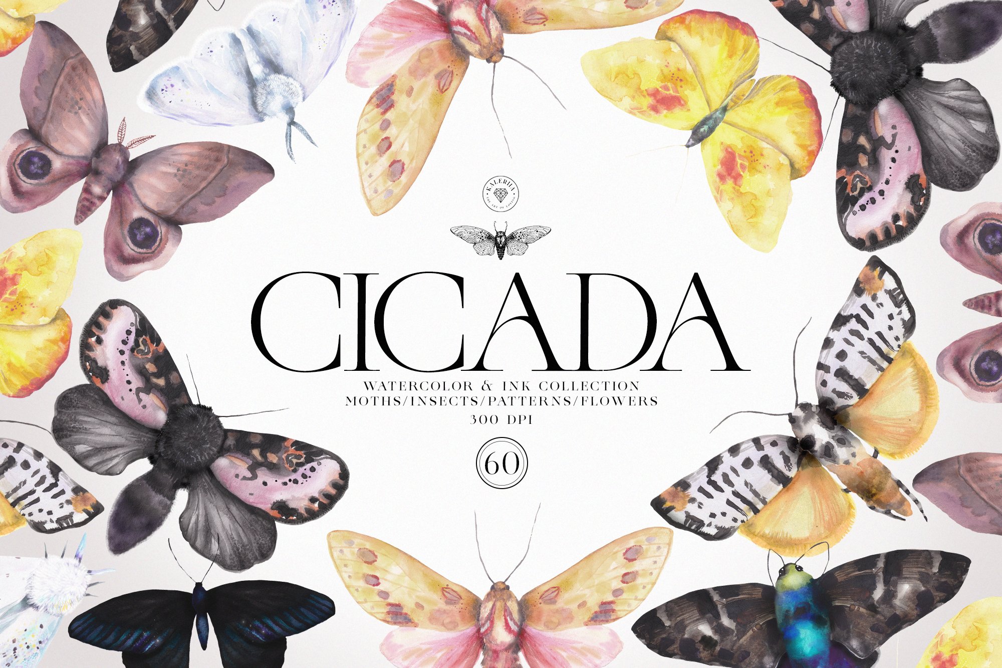 Cicada - Insects & Flowers Ink Set cover image.