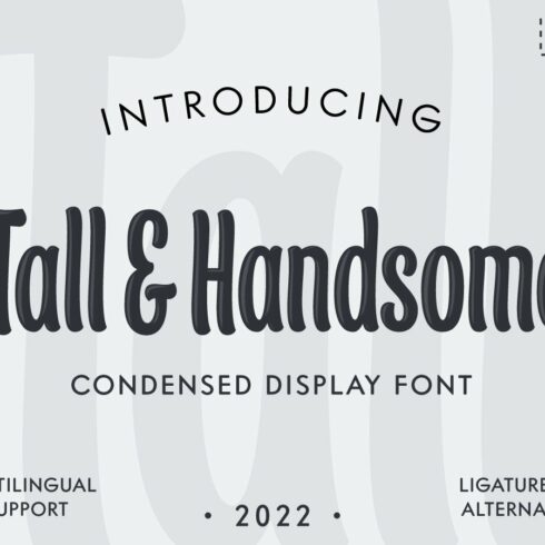 Tall & Handsome - Condensed Display cover image.