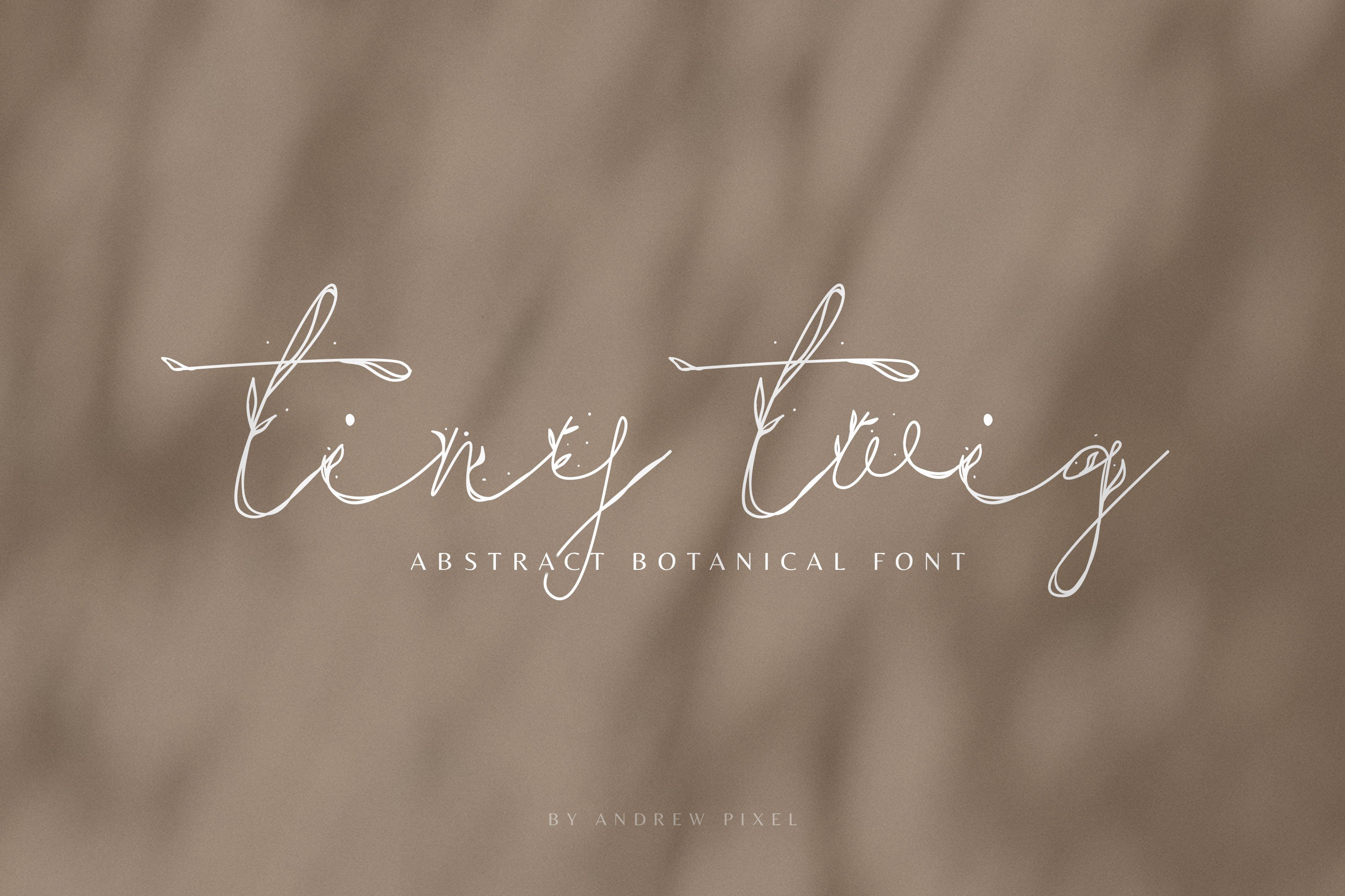 Tiny Twig - Botanical Display Font cover image.