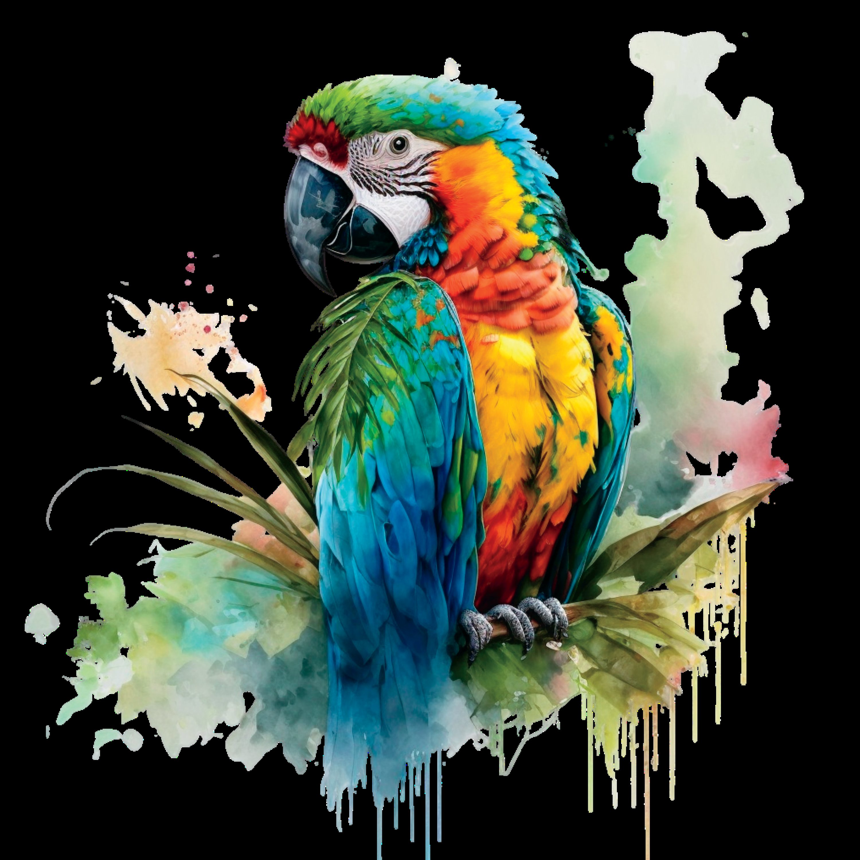 Macaw Watercolor Illustration Set preview image.