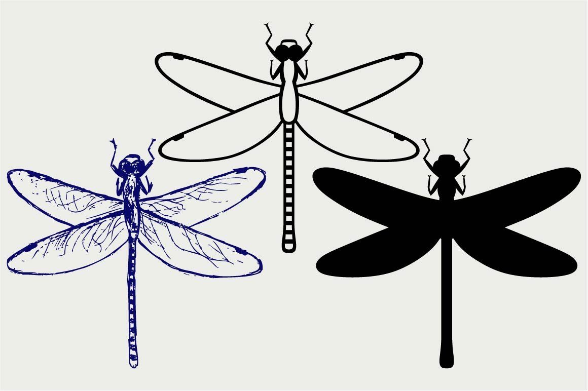 Dragonfly SVG – MasterBundles