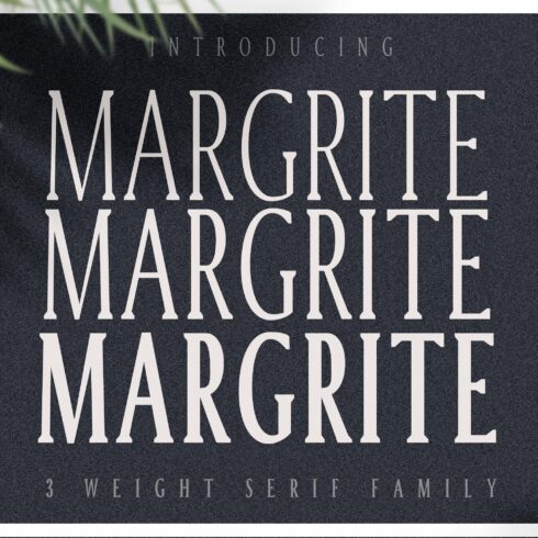 Margrite - Tall Serif Font Family cover image.