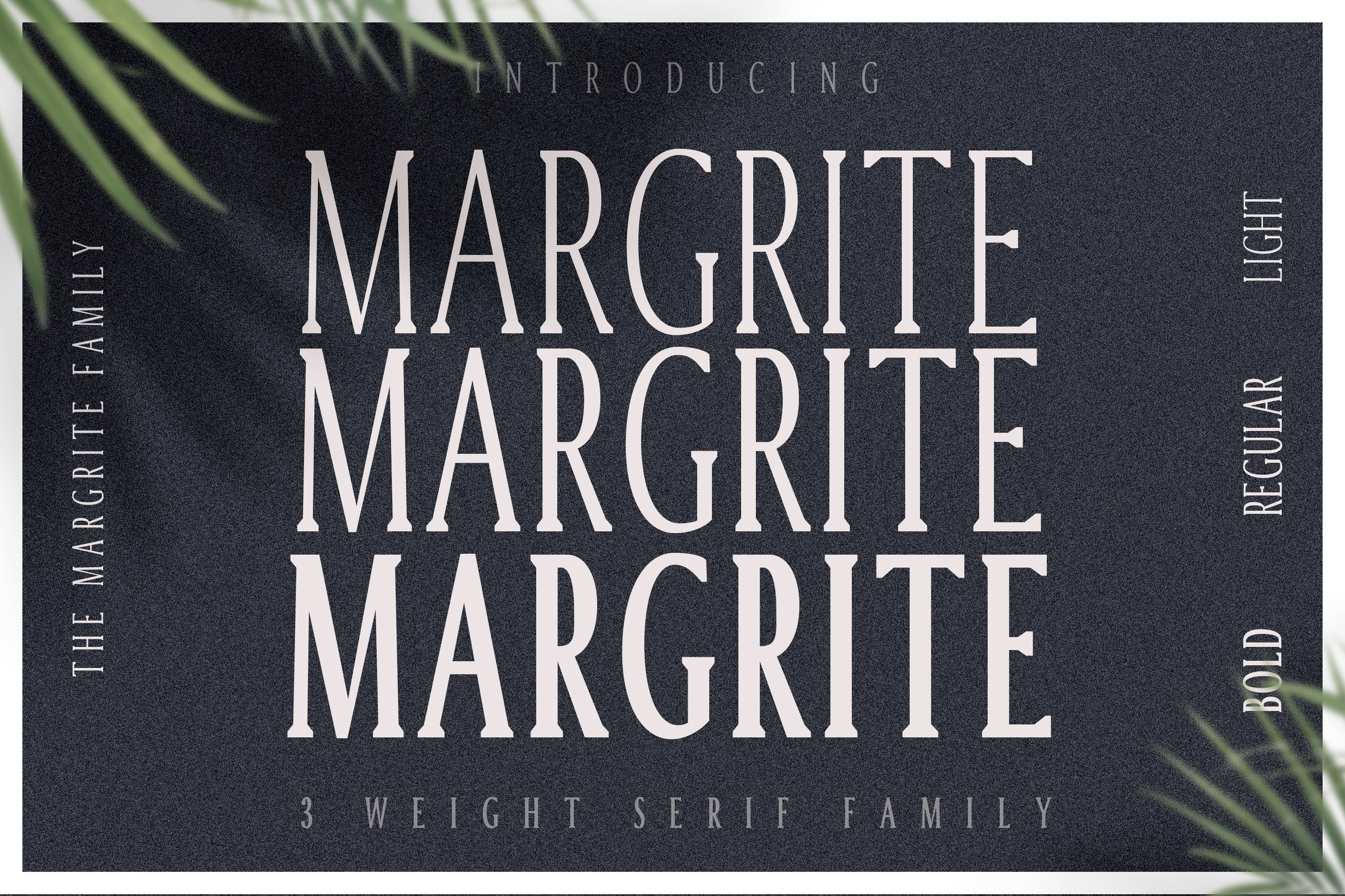 Margrite - Tall Serif Font Family cover image.
