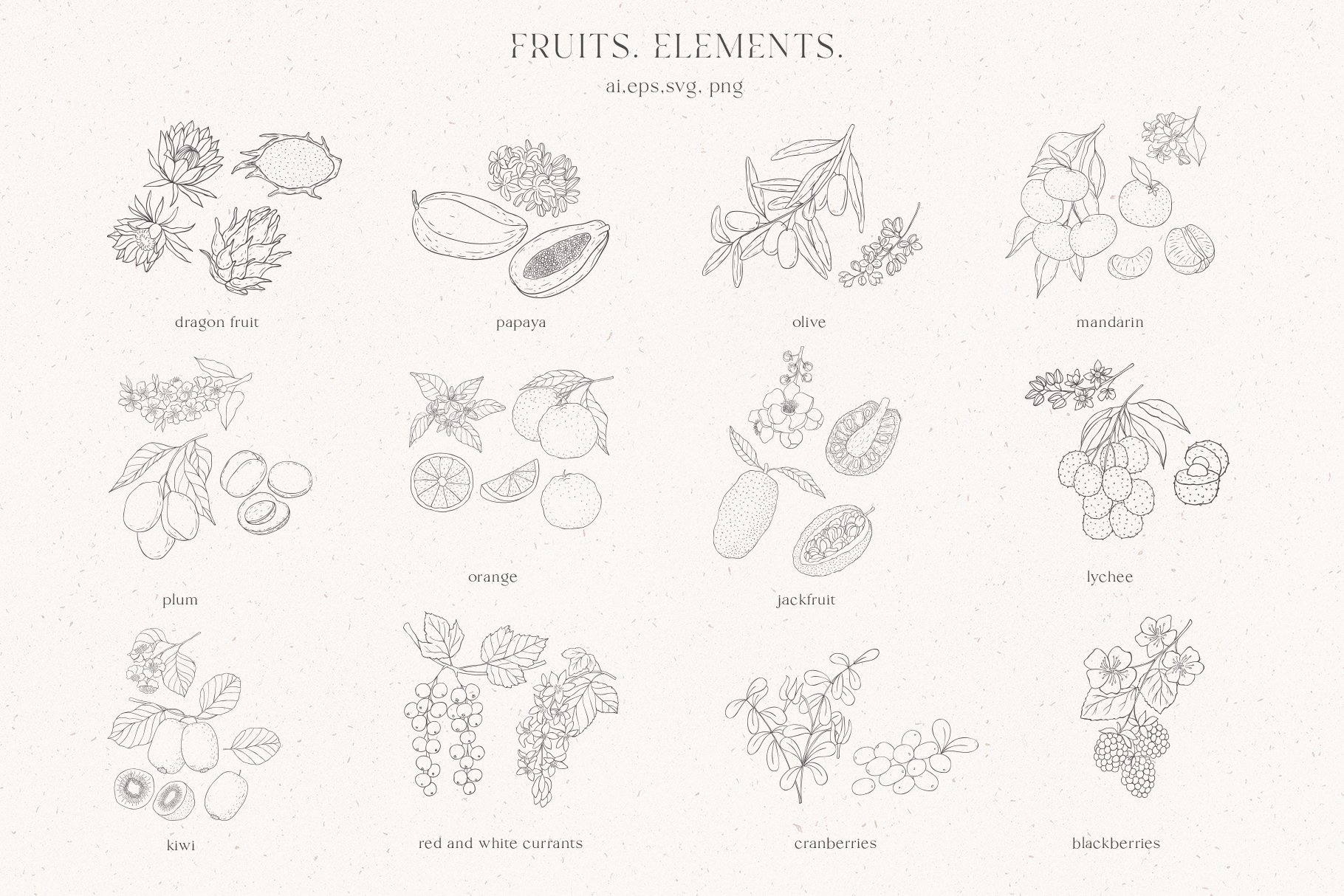 Fruits & Flowers. Nuts & Berries. preview image.