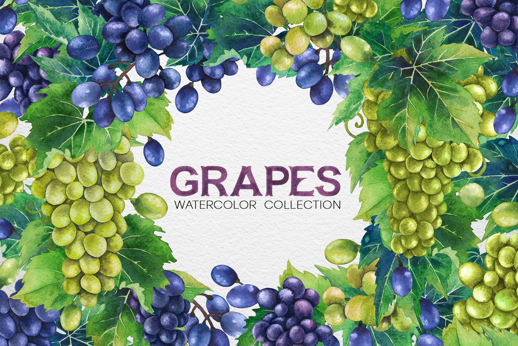 Watercolor Grapes cover image.