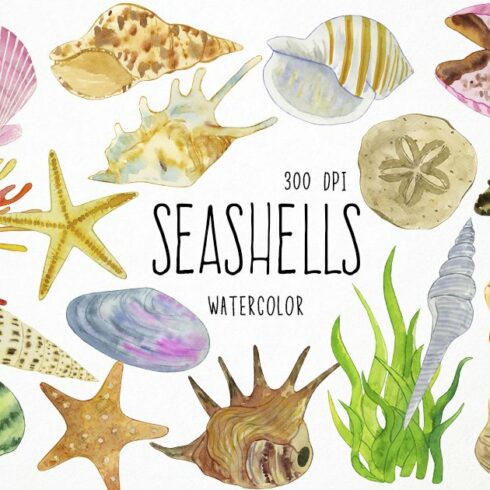 Watercolor Seashells Clipart, Shells cover image.