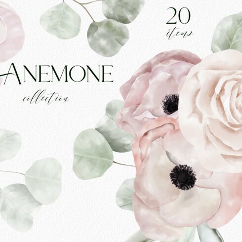 Anemone watercolor texture clipart cover image.