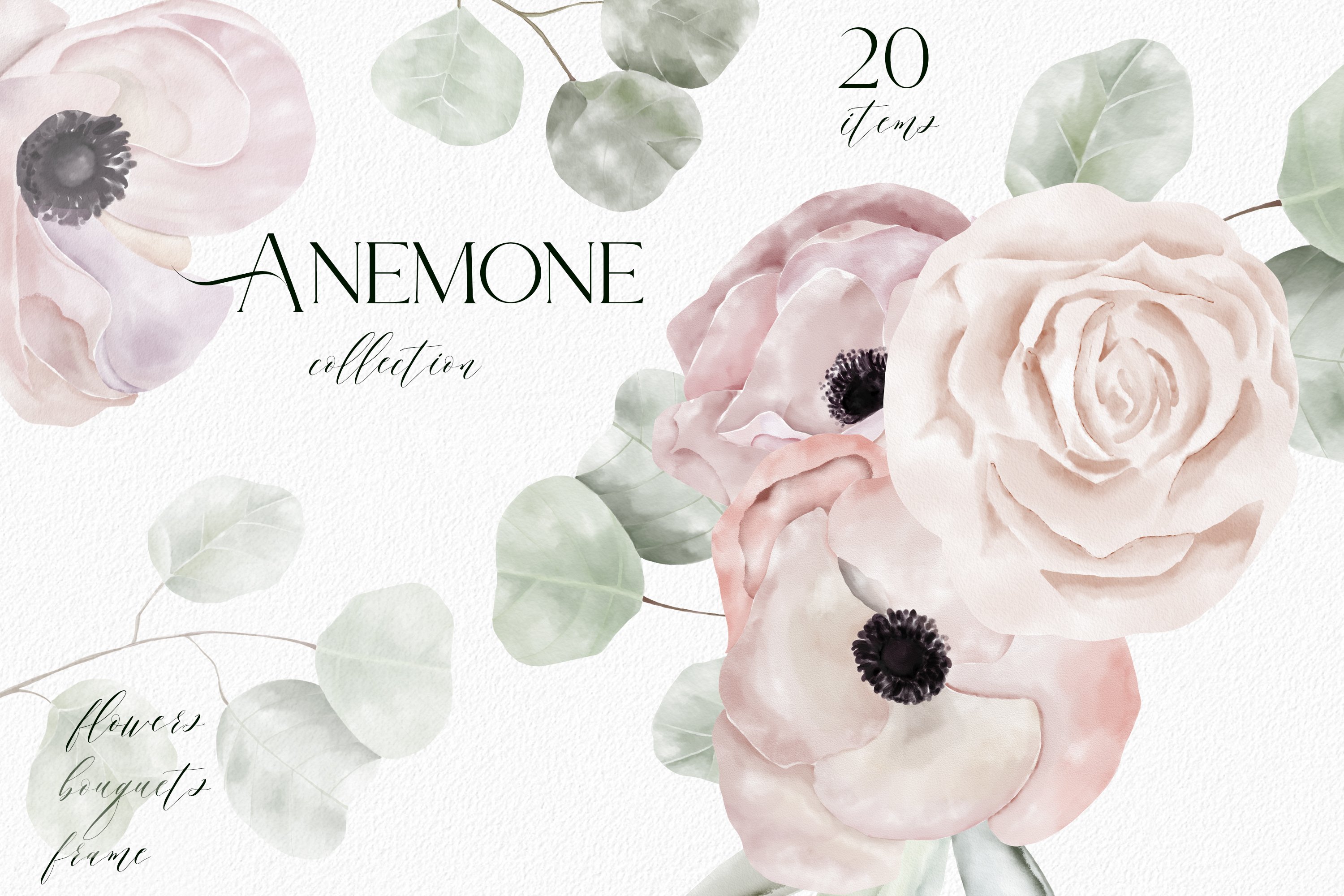 Anemone watercolor texture clipart cover image.