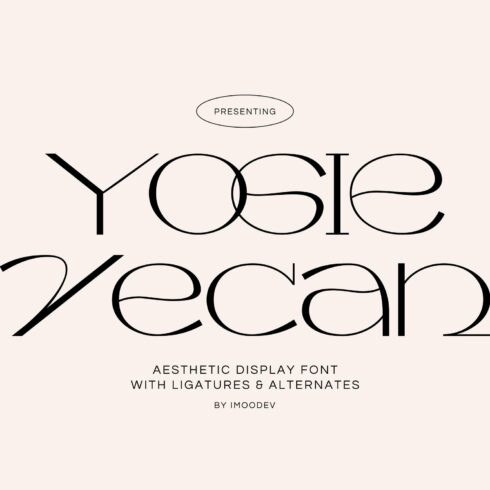 Yogie Vecan - Skinny Font cover image.
